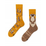 Chaussettes The Meerkat - Bibop et Lula