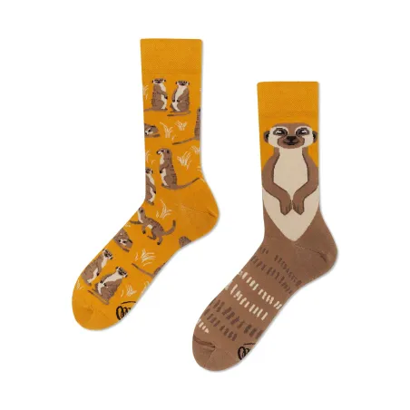 Chaussettes The Meerkat