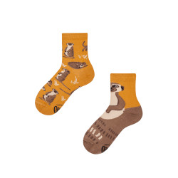 Chaussettes enfant The Meerkat - Bibop et Lula