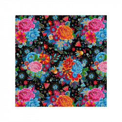 Coton Bio Balkan Noir - Bibop et Lula