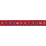 Bordure velours Kaffe Fassett Spray - Bibop et Lula