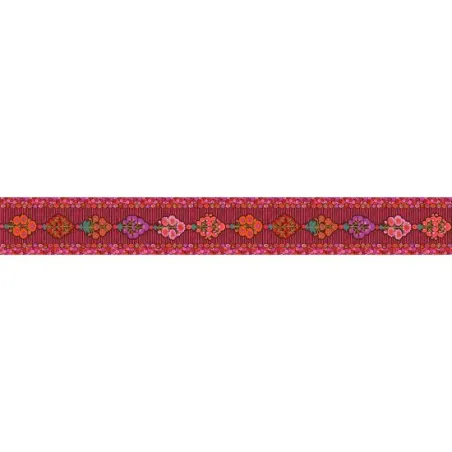 Bordure velours Kaffe Fassett Spray