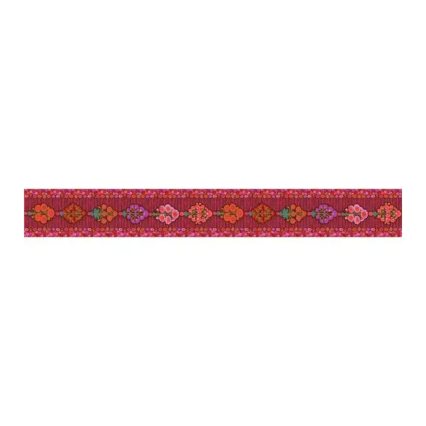 Bordure velours Kaffe Fassett Spray
