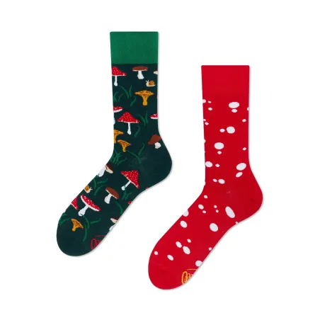 Chaussettes Meet The Shrooms