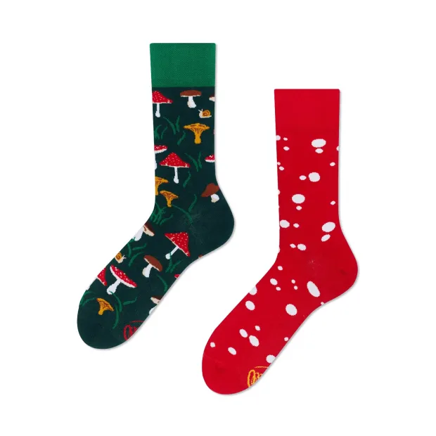 Chaussettes Meet The Shrooms