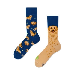 Chaussettes Golden Boy - Bibop et Lula