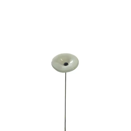 Fleurs en verre blanc