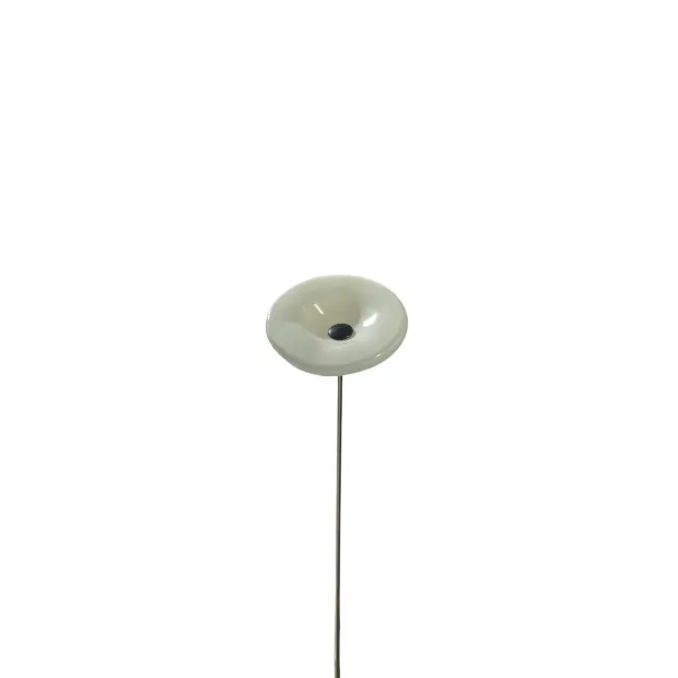 Fleurs en verre blanc