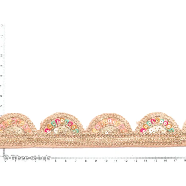 Galon Maharaja nudebrodé de sequins colorés et fils dorés à bord arrondi
