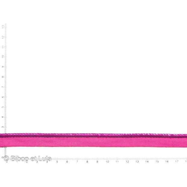Galon passepoil lurexfuschia brillant