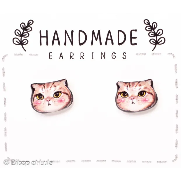 Puces d'oreilles Chats rayés