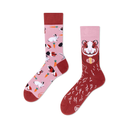 Chaussettes Miss Guinea Pig - Bibop et Lula