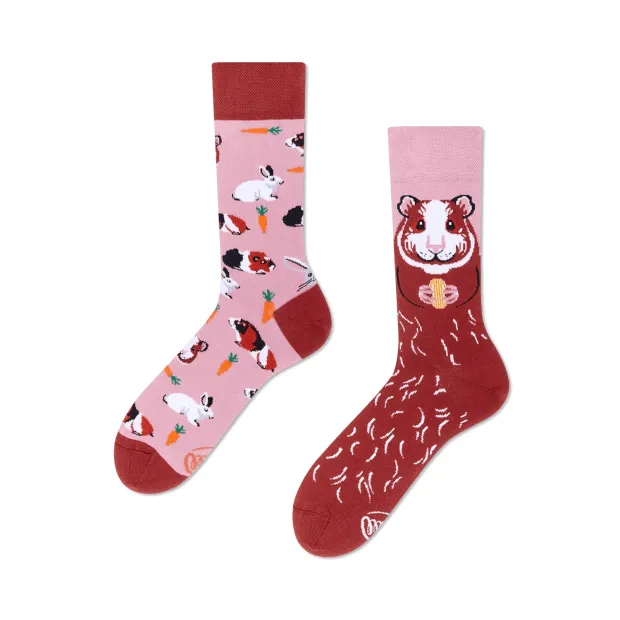 Chaussettes Miss Guinea Pig