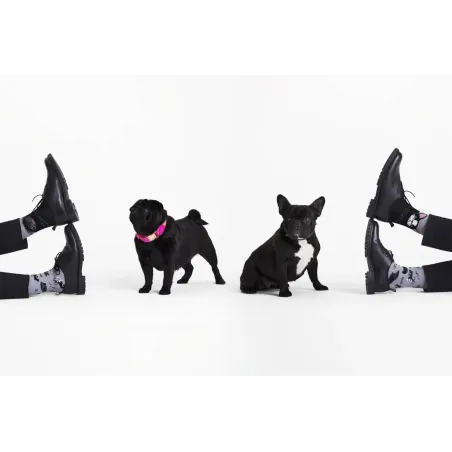 Chaussettes My little dog