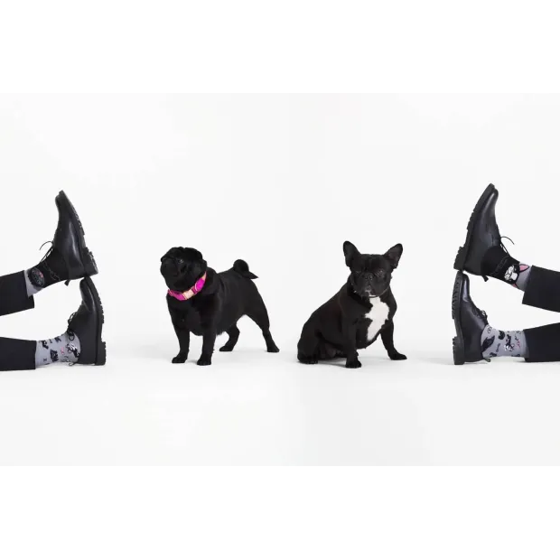 Chaussettes My little dog