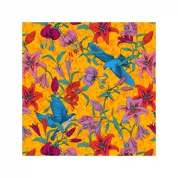 Coupon Velours Bal des hirondelles - Bibop et Lula
