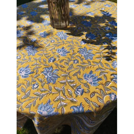 Nappe Eclosion