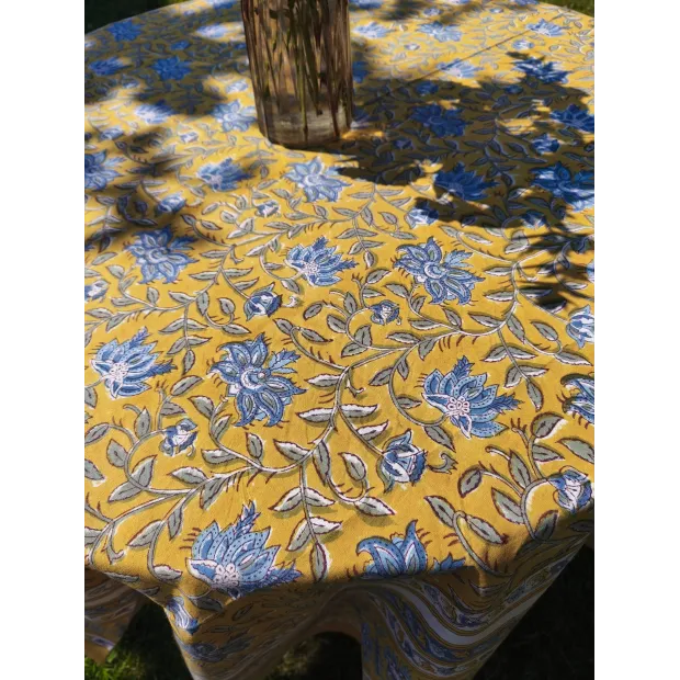 Nappe Eclosion