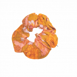 Chouchou Colombes - Bibop et Lula