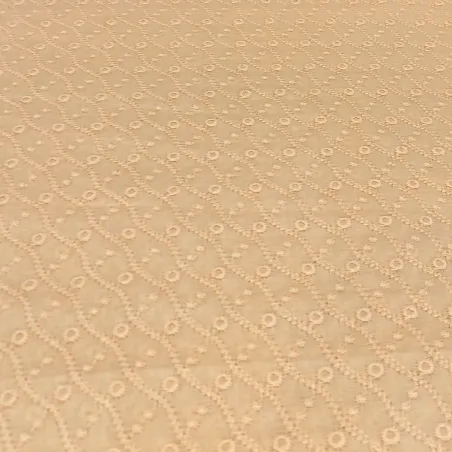Tissu brodé Rayé Saumon