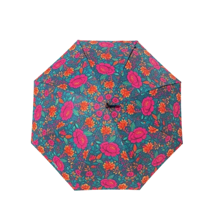 Parapluie Canne Carmen