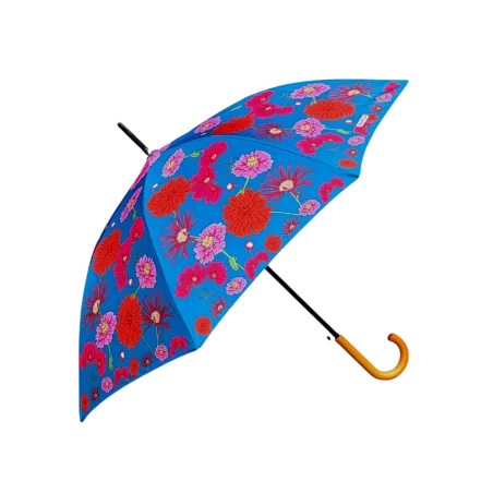 Parapluie Canne Gypsy