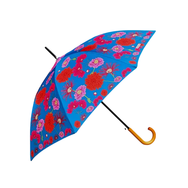 Parapluie Canne Gypsy