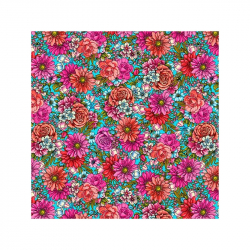 Coton bio Présage - Bibop et Lula