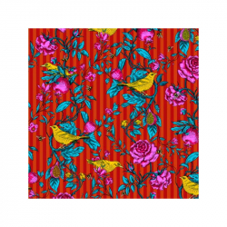 Coton bio Bois de touffou - Bibop et Lula