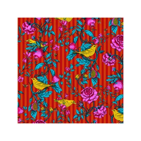 Coton bio Bois de touffou