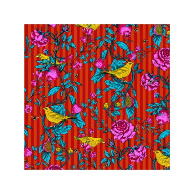 Coton bio Bois de touffou