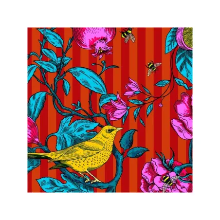 Coton bio Bois de touffou