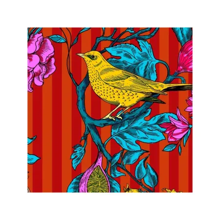 Coton bio Bois de touffou