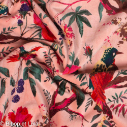 Coupon Velours Arbara - Bibop et Lula