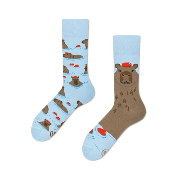 Chaussettes Capybara