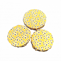 Trio de charlottes alimentaires Kyoto - Bibop et Lula