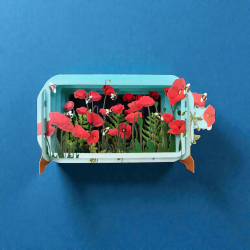 3D Pop Up Carte Coquelicots - Bibop et Lula