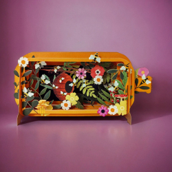 3D Pop Up Carte Eclosion - Bibop et Lula