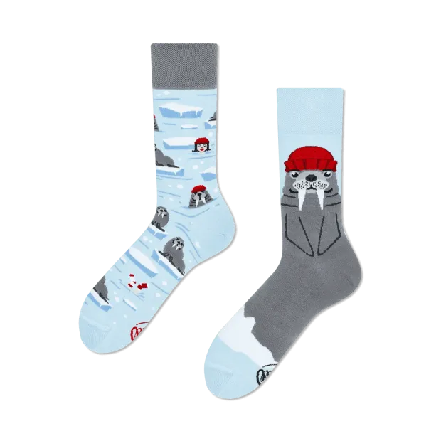 Chaussettes The Walnus