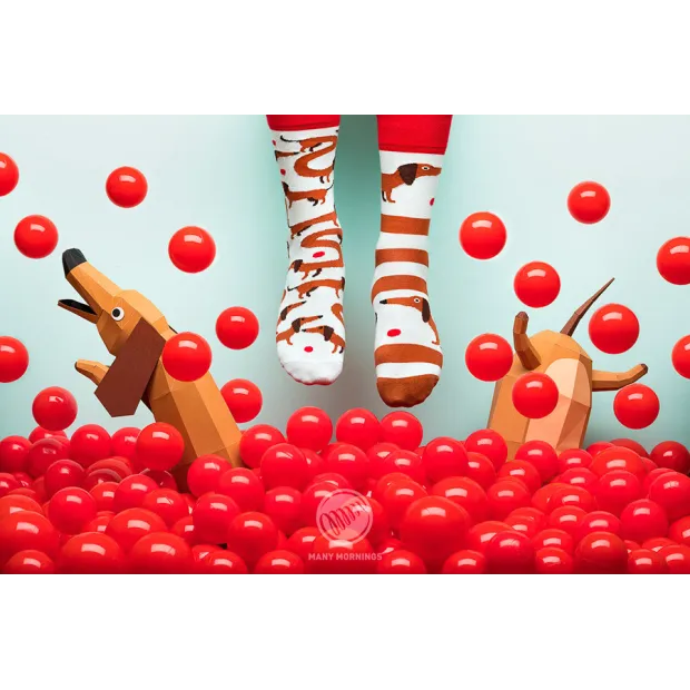 Chaussettes Sausage dog
