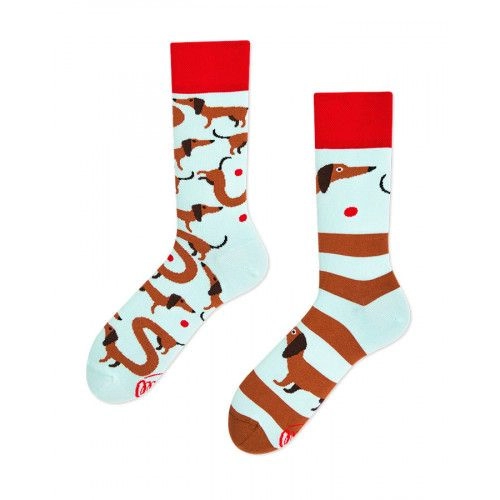 Chaussettes Sausage dog - Bibop et Lula