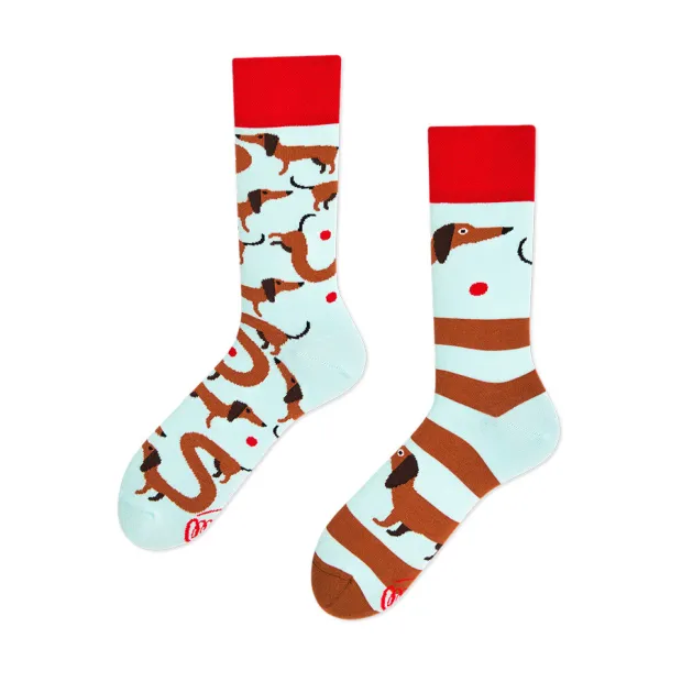 Chaussettes Sausage dog