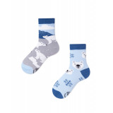 Chaussettes Polar Bear - Bibop et Lula