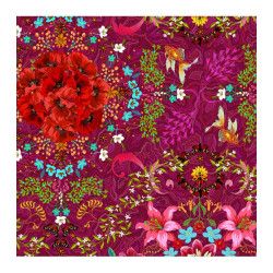 Coton Syracuse rose - Bibop et Lula