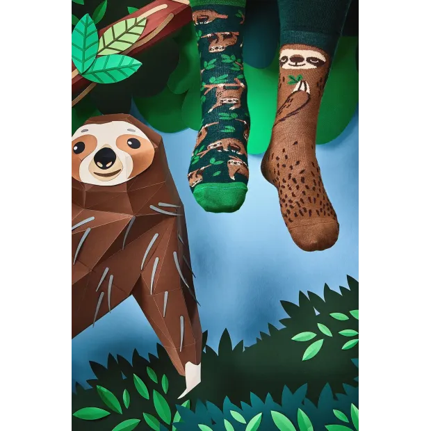 Chaussettes Sloth Life