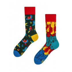 Chaussettes Paradise Parrot - Bibop et Lula