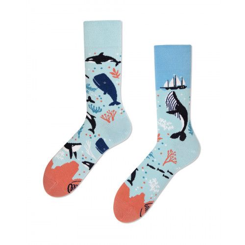 Chaussettes Ocean Life - Bibop et Lula