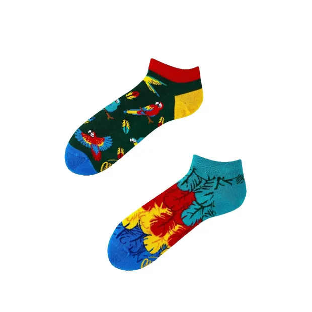Socquettes Paradise Parrot
