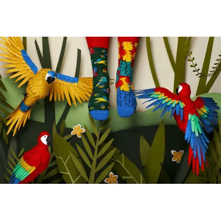 Socquettes Paradise Parrot