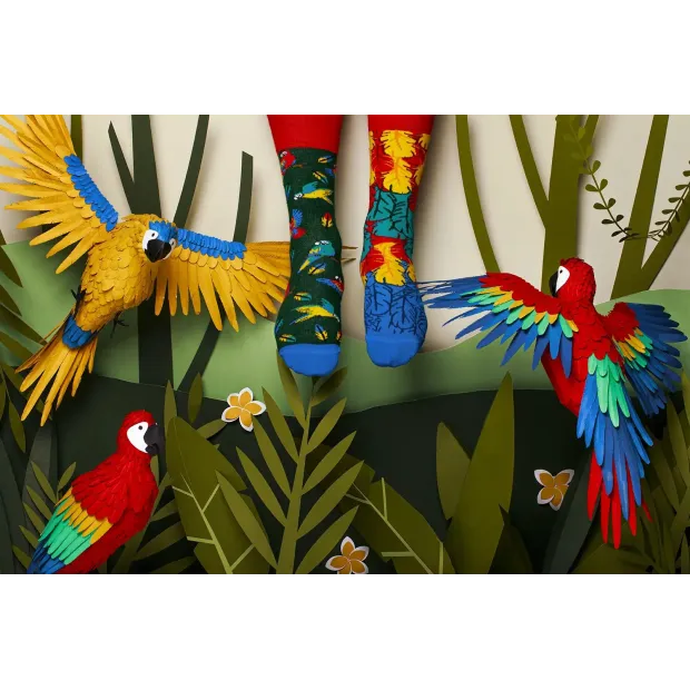 Socquettes Paradise Parrot